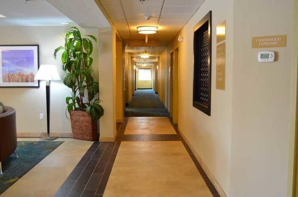 Candlewood Suites San Antonio Airport By Ihg Luaran gambar